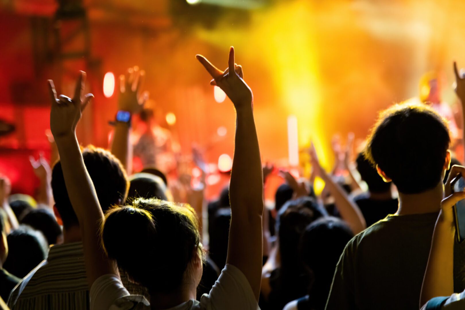 Concert crowd enjoying live music performance.