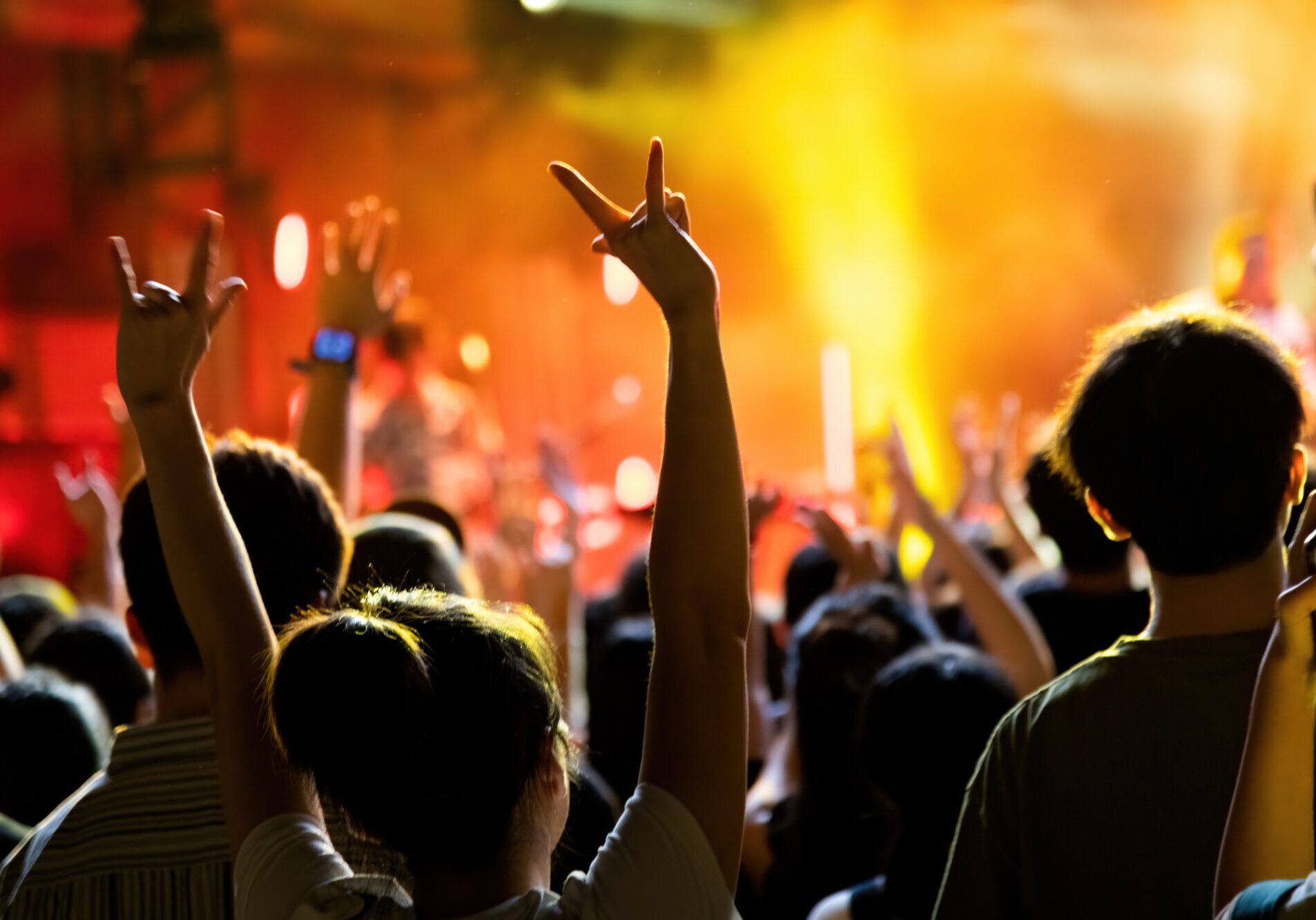 Concert crowd enjoying live music performance.